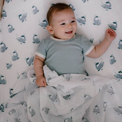 Mister Fly Muslin Wrap - Whale - Outlet Shop For Kids