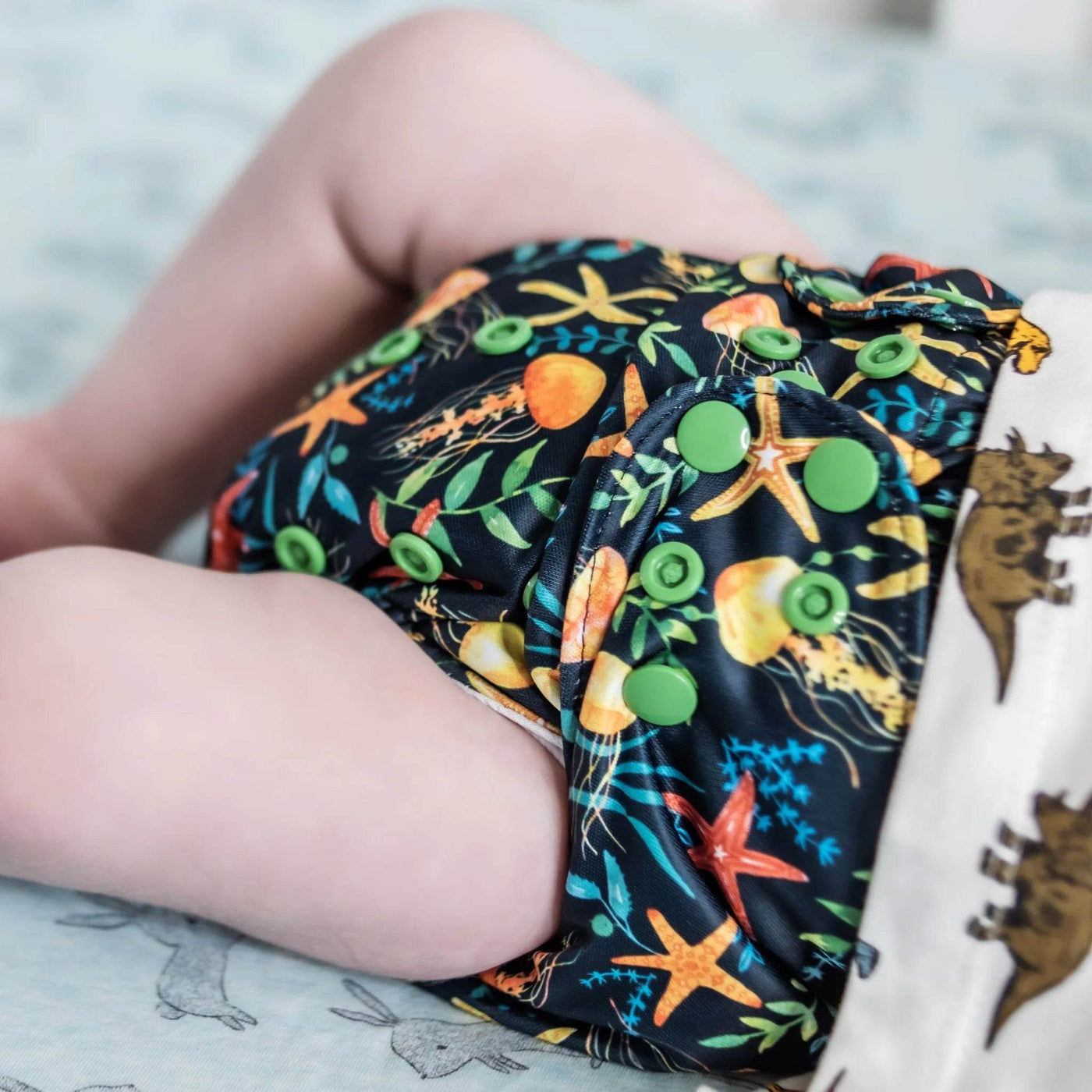 Monarch Classic Reusable Cloth Nappy 2.0 With Snaps - You Jelly - Outlet Shop For Kids