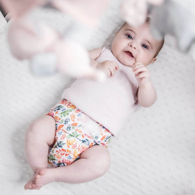 Monarch Ultimate Wipeable Cloth Nappy V3.0 With Hook & Loop - Four Seasons