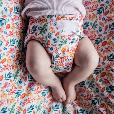 Monarch Ultimate Wipeable Cloth Nappy V3.0 With Hook & Loop - Four Seasons