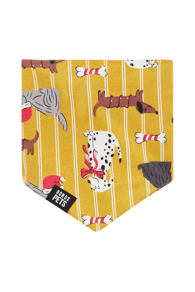 Bonds Pet Bandana - Puppies For Christmas