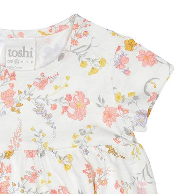 Toshi Knit Dress Classic Short Sleeve - Isabelle - Outlet Shop For Kids