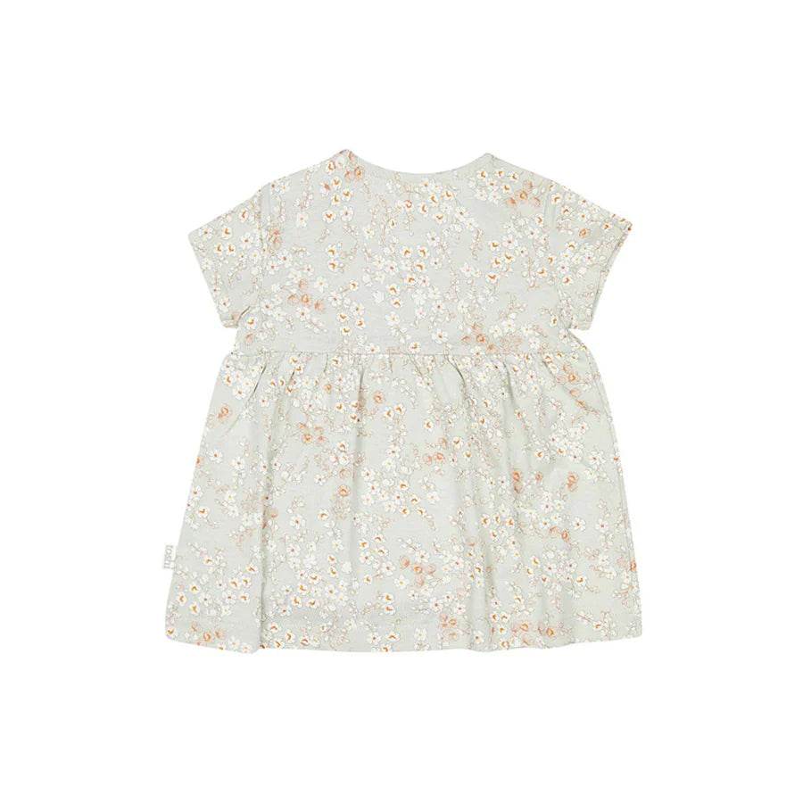 Toshi Knit Dress Classic Short Sleeve - Stephanie