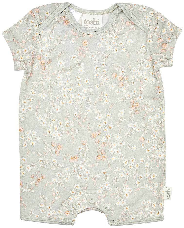 Toshi Onesie Short Sleeve Classic - Stephanie - Outlet Shop For Kids