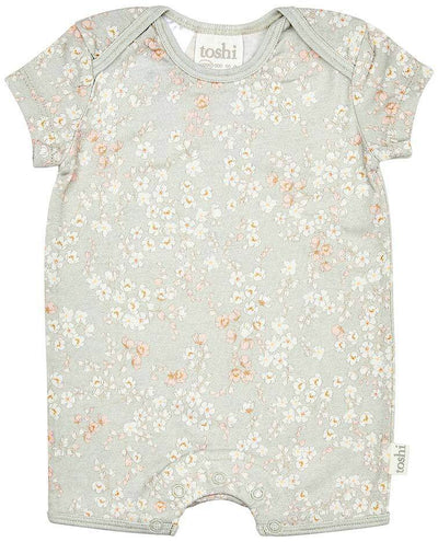 Toshi Onesie Short Sleeve Classic - Stephanie - Outlet Shop For Kids