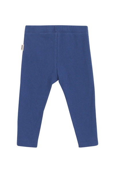 Bonds Wide Needle Rib Legging - Bastille Blue