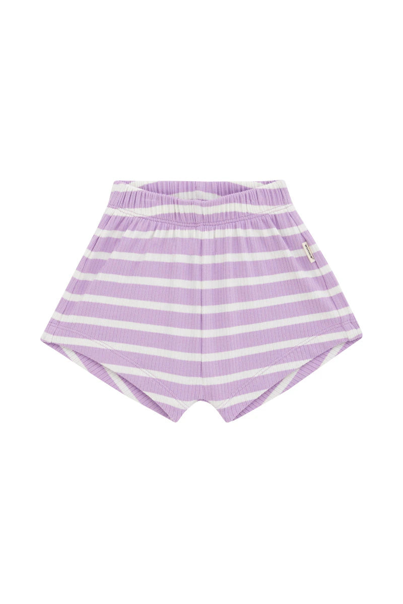 Bonds Wide Needle Rib Short - Cotton Purple Pansy / Marscpone