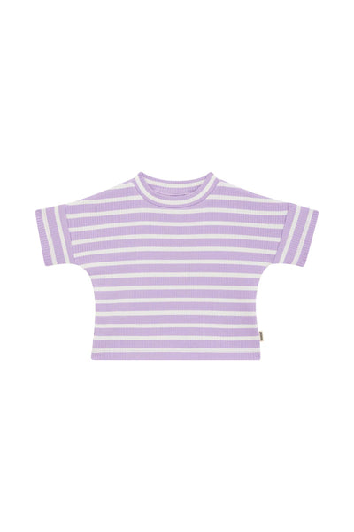 Bonds Wide Needle Rib Tee - Cotton Purple Pansy / Marscapone