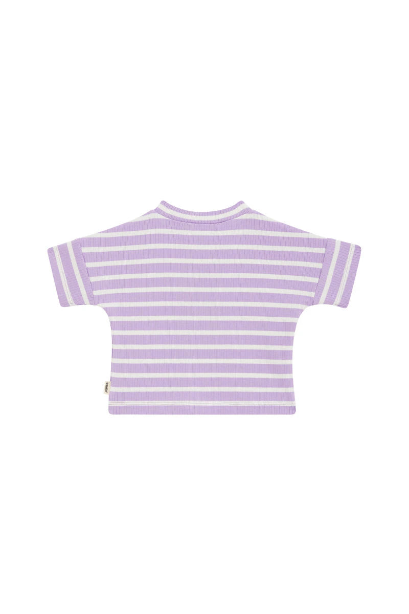 Bonds Wide Needle Rib Tee - Cotton Purple Pansy / Marscapone