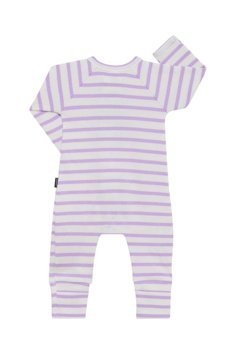 Bonds Wide Needle Rib Zippy - Cotton Purple Pansy/Marscapone Stripe