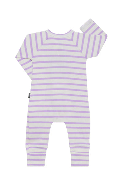 Bonds Wide Needle Rib Zippy - Cotton Purple Pansy/Marscapone Stripe