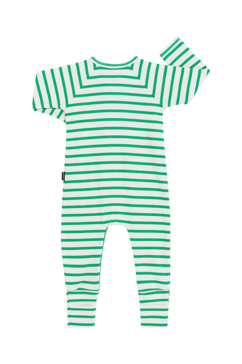 Bonds Wide Needle Rib Zippy - Frog/Marscapone Stripe