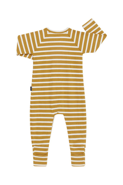 Bonds Wide Needle Rib Zippy - Marscapone/Sweet Caramel Stripe