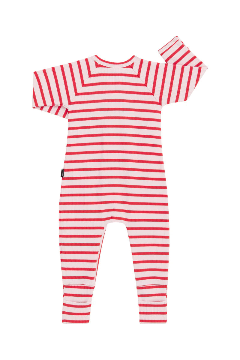 Bonds Wide Needle Rib Zippy - Strong Blush/Flamenco Stripe