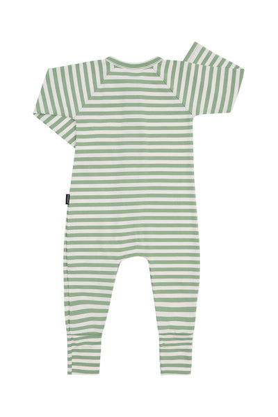 Bonds Zip Wondersuit - Stripe Green