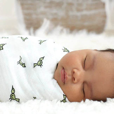 Aden and Anais Classic Swaddle 4 Pack - Jungle Jam - Outlet Shop For Kids