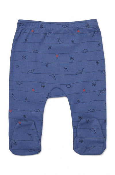Marquise Baby Boys Dinosaur Long Sleeve Top And Footed Legging - Blue Marle / Yardage Print - Outlet Shop For Kids